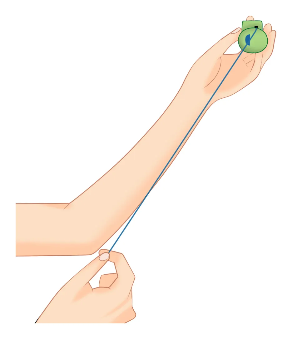 改めて覚える!フロスの使い方🦷